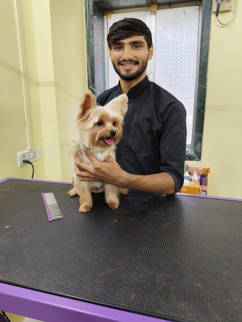 Leo's pet grooming & salon