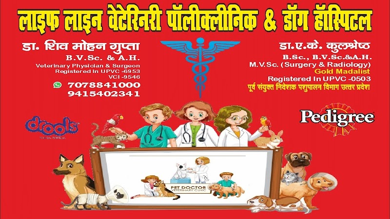 Life Line Veterinary Polyclinic Pet's Hospital — Photo 4