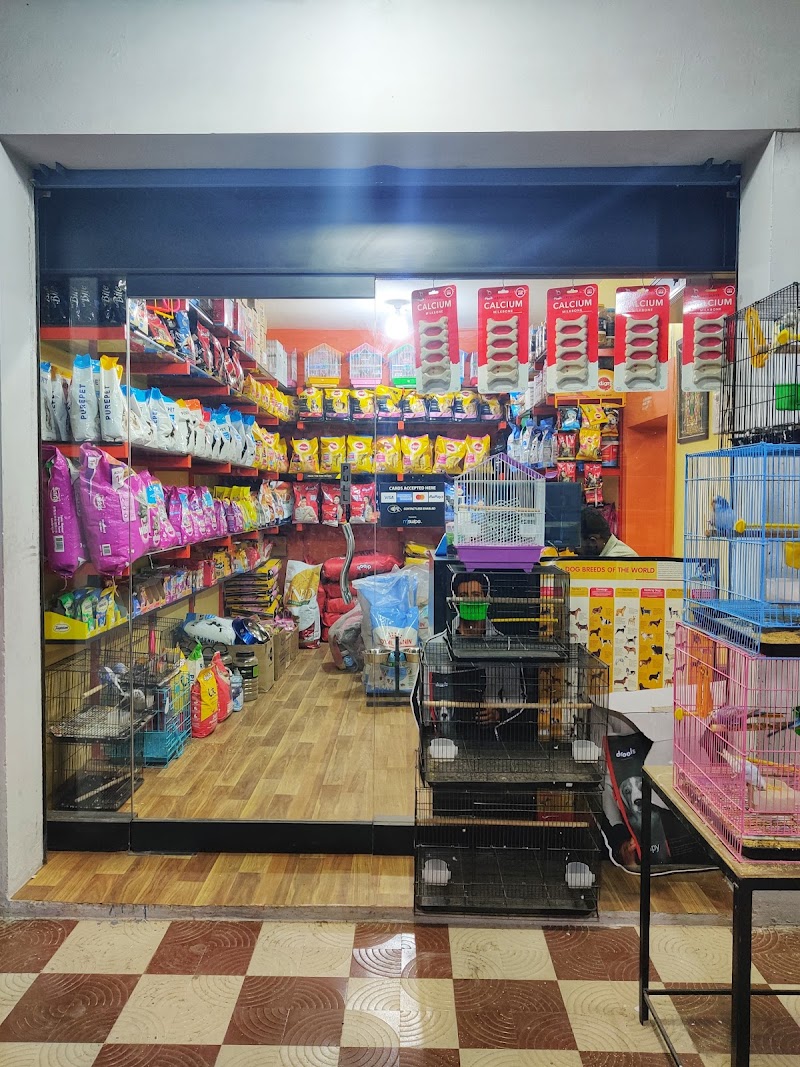 Little Gangster's pets and Kennel — Photo 2