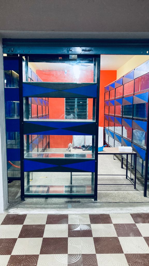 Little Gangster's pets and Kennel — Photo 3