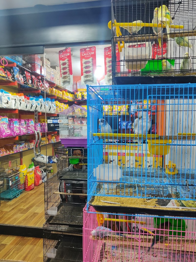 Little Gangster's pets and Kennel — Photo 4