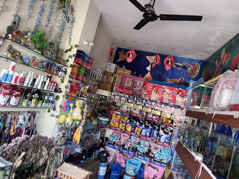 LIVE PET SHOPS — Photo 2