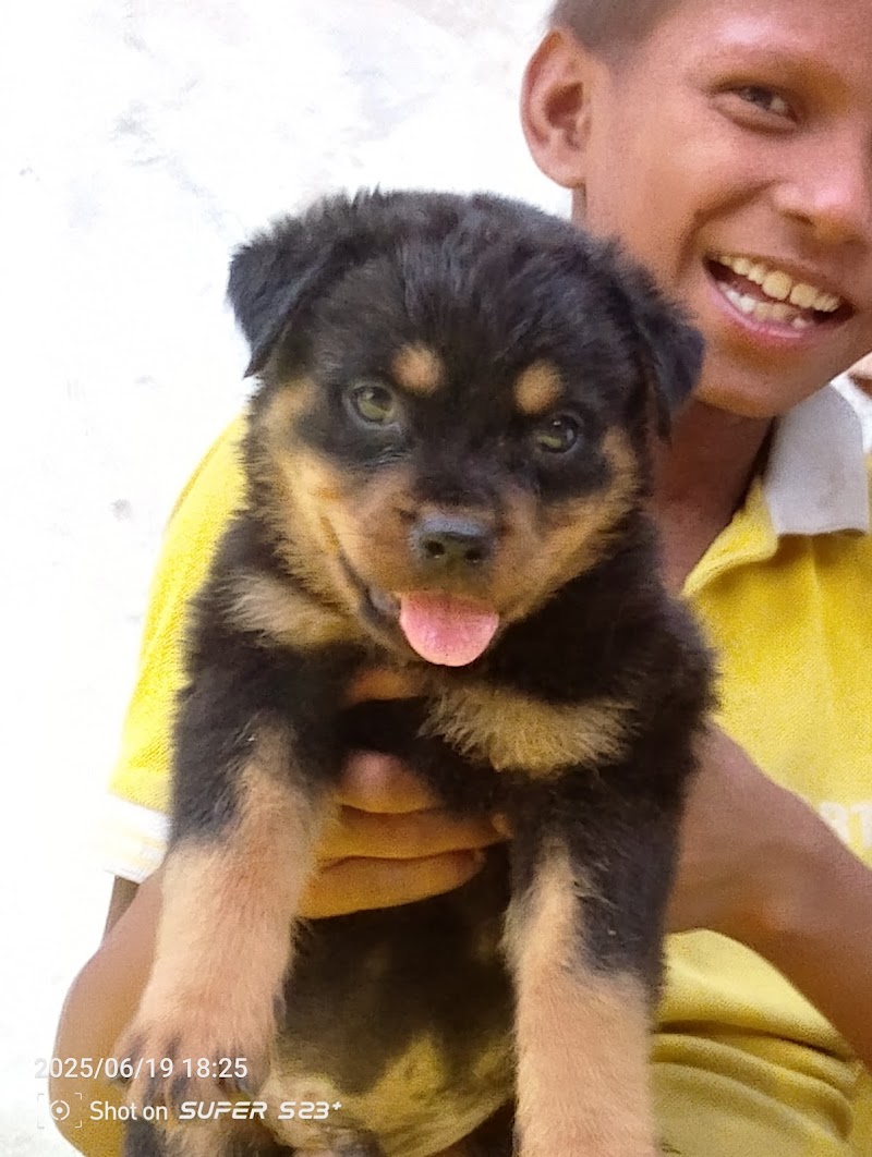 MAAHI PETS MART — Photo 3