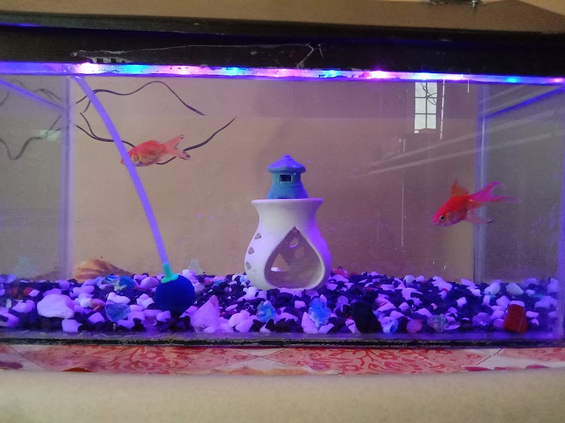 Maharashtra Aquarium — Photo 3