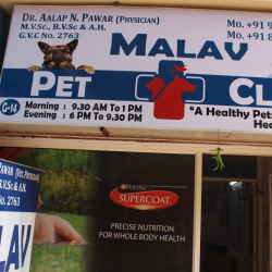 Malav Pet Clinic & Store