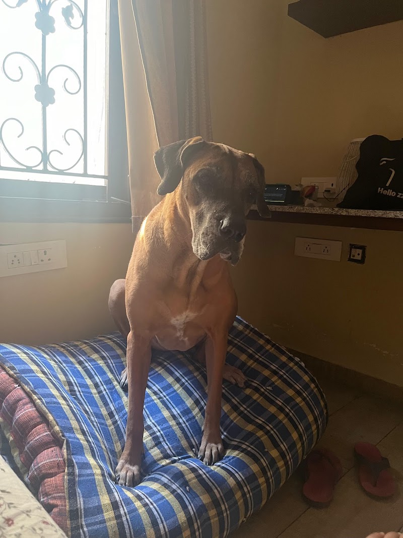 Mama's Tail House — Photo 4