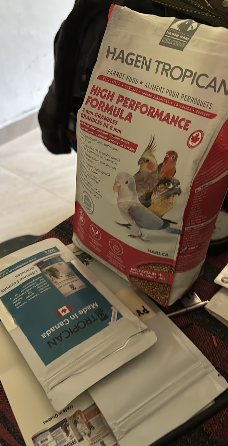 Maple Pets International Pvt. Ltd. — Photo 4