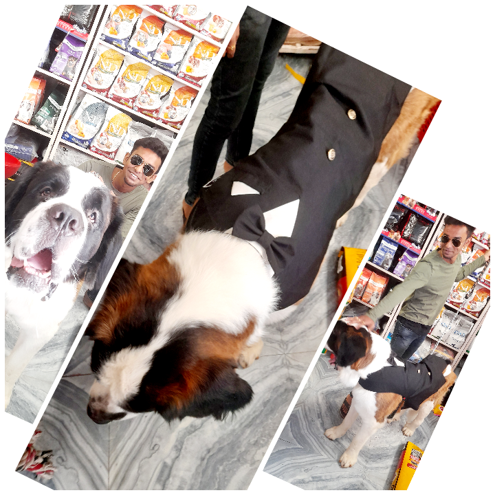 Marshalls Pet Zone — Photo 3