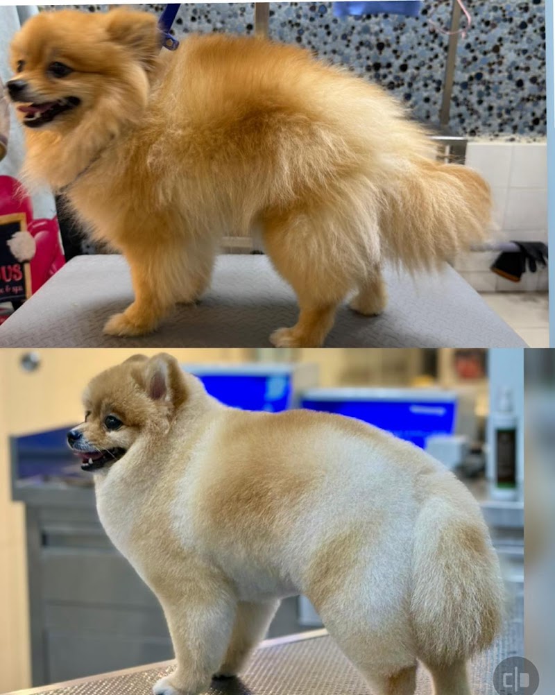 Marshalls Pet Zone — Photo 4