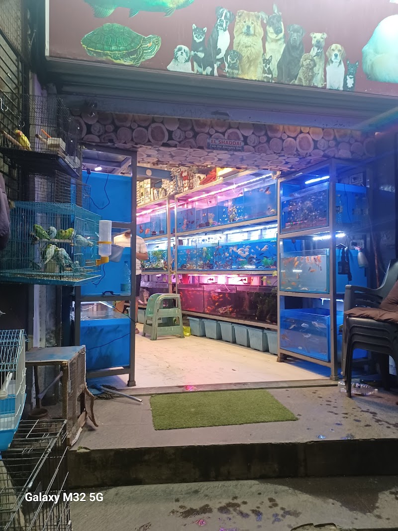 Max Aquarium pets shop