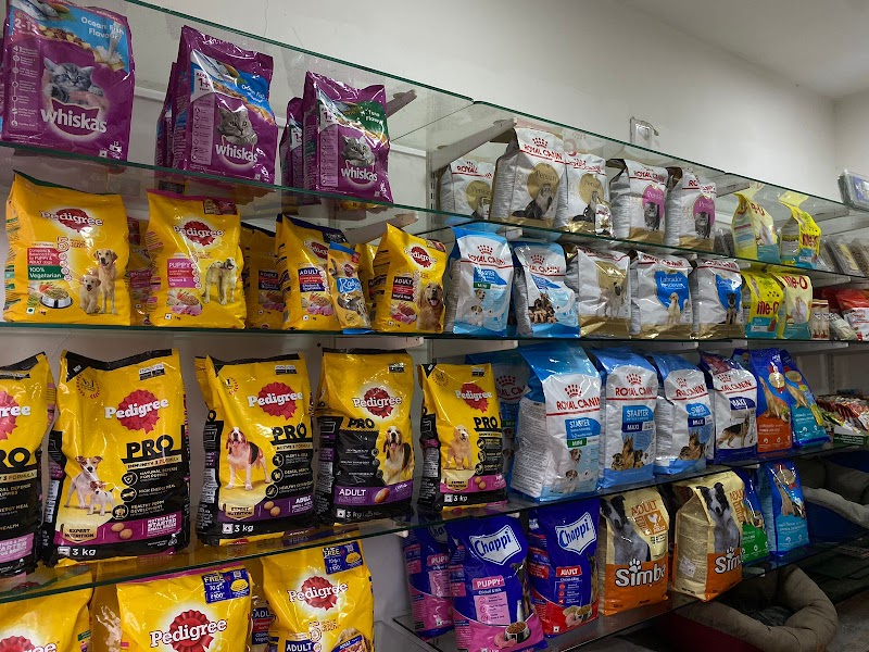 Mega Grooming Pet Spa & Pet Shop — Photo 2