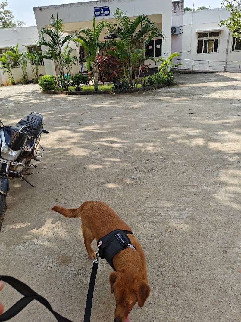 MGM Veterinary Hospital — Photo 2