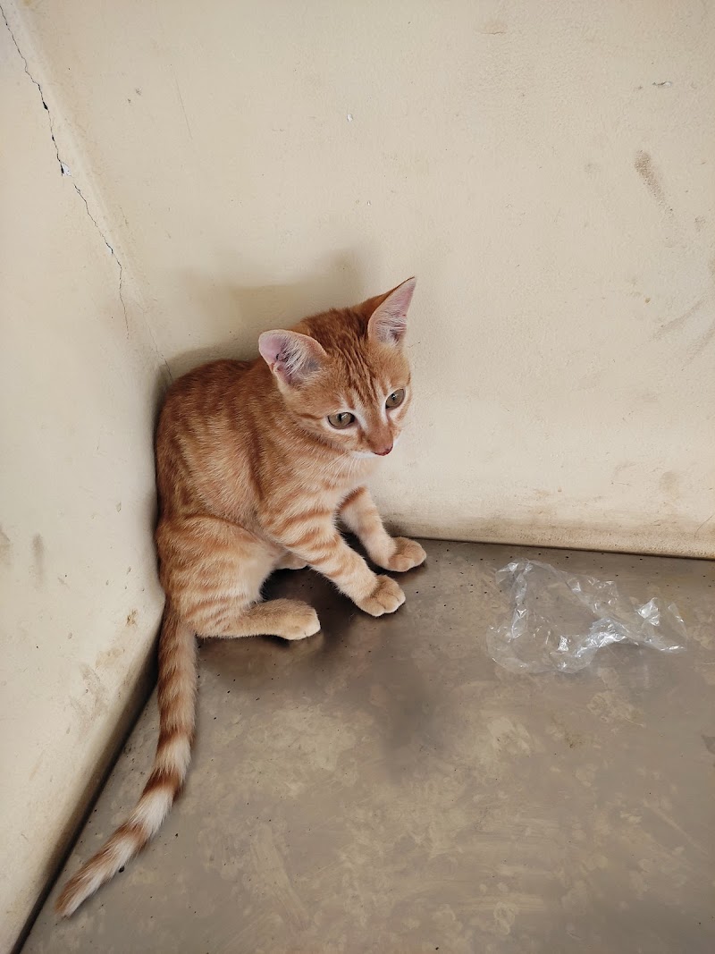 MGM Veterinary Hospital — Photo 3