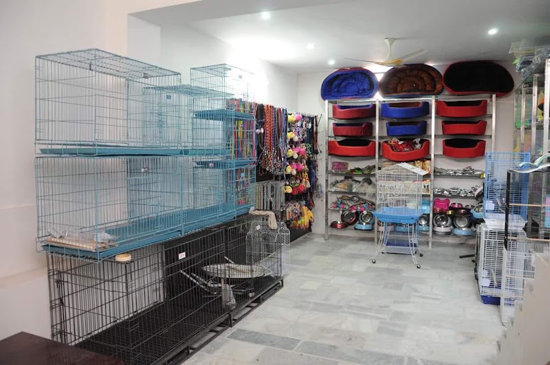 Mister Dog Pet Shop — Photo 3
