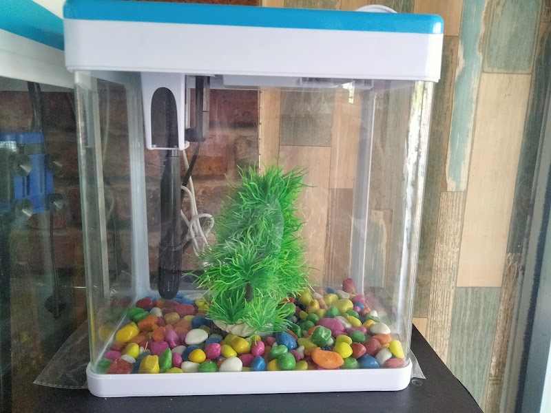 Mohali Pet World & Fish Aquarium