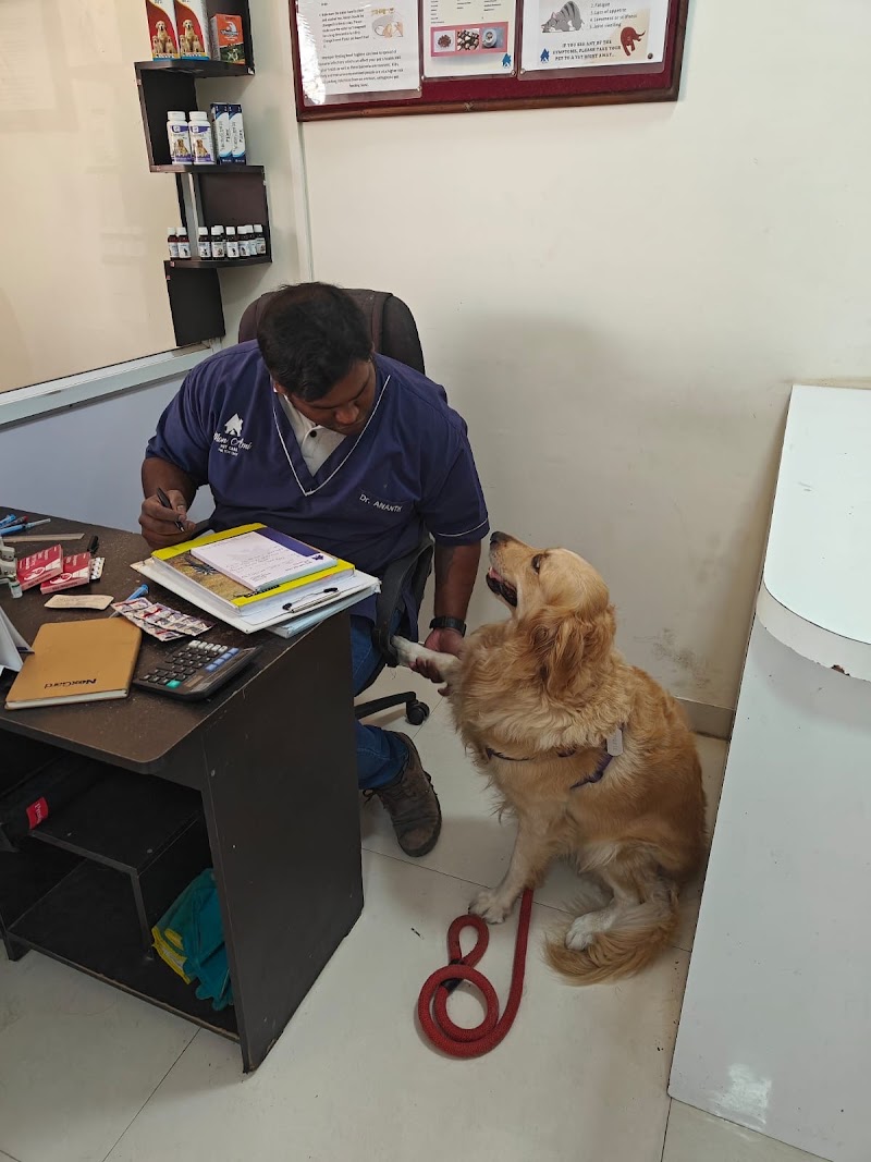 Mon Ami Pet Clinic — Photo 2