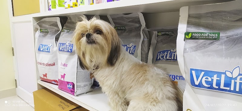 Mon Ami Pet Clinic — Photo 3