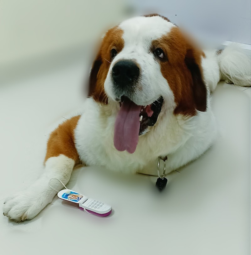 Mon Ami Pet Clinic — Photo 4