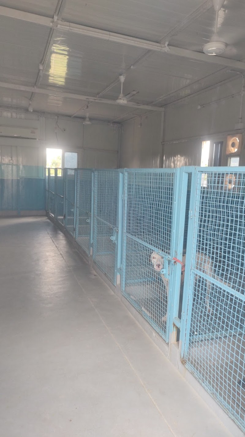 Moshivibi Dog Boarding Kennel