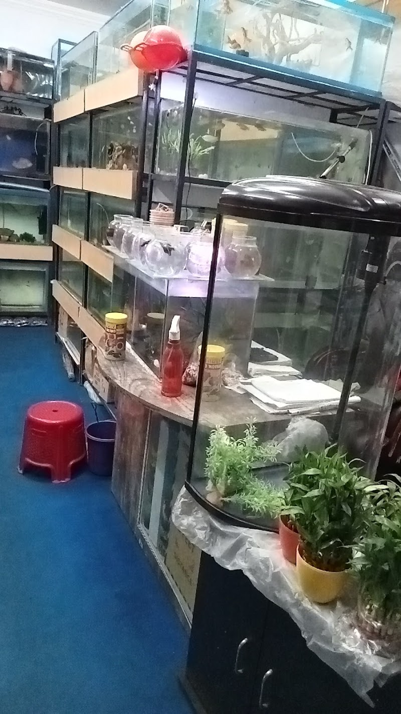 M.R Traders (Pet Shop)