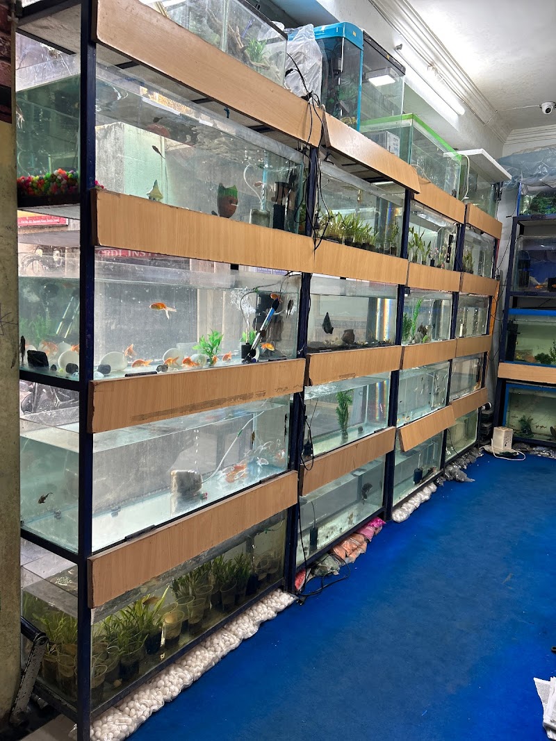 M.R Traders (Pet Shop) — Photo 3