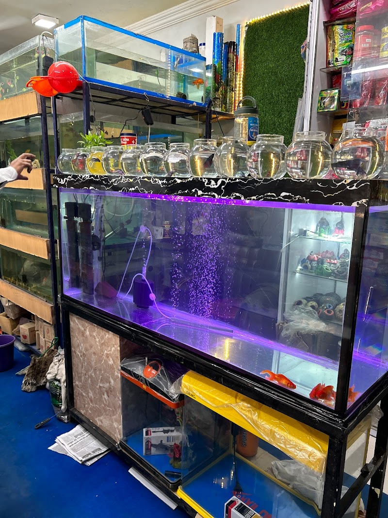 M.R Traders (Pet Shop) — Photo 4