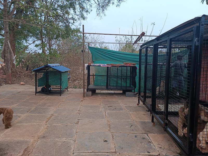 My Kennel — Photo 2