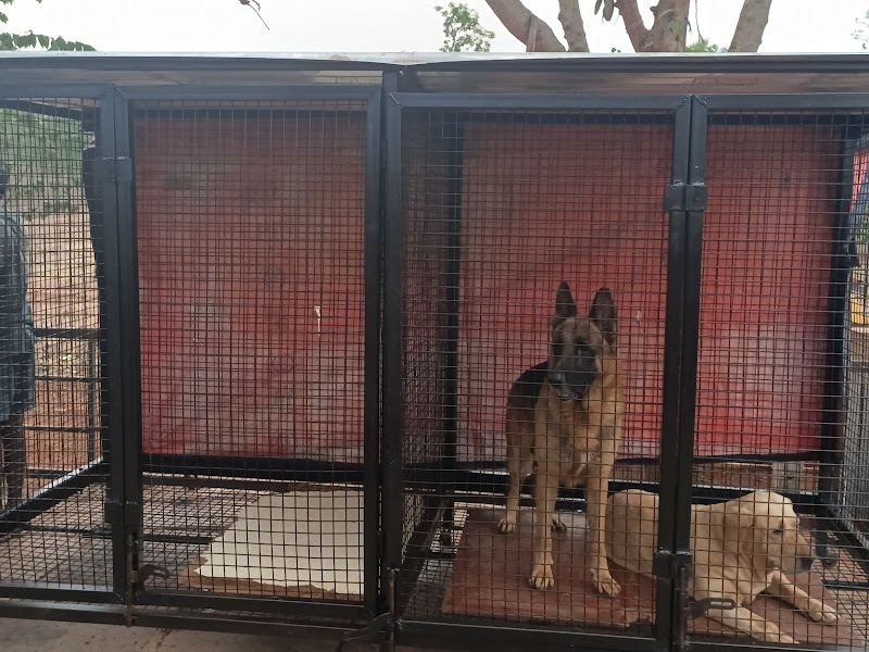 My Kennel — Photo 4