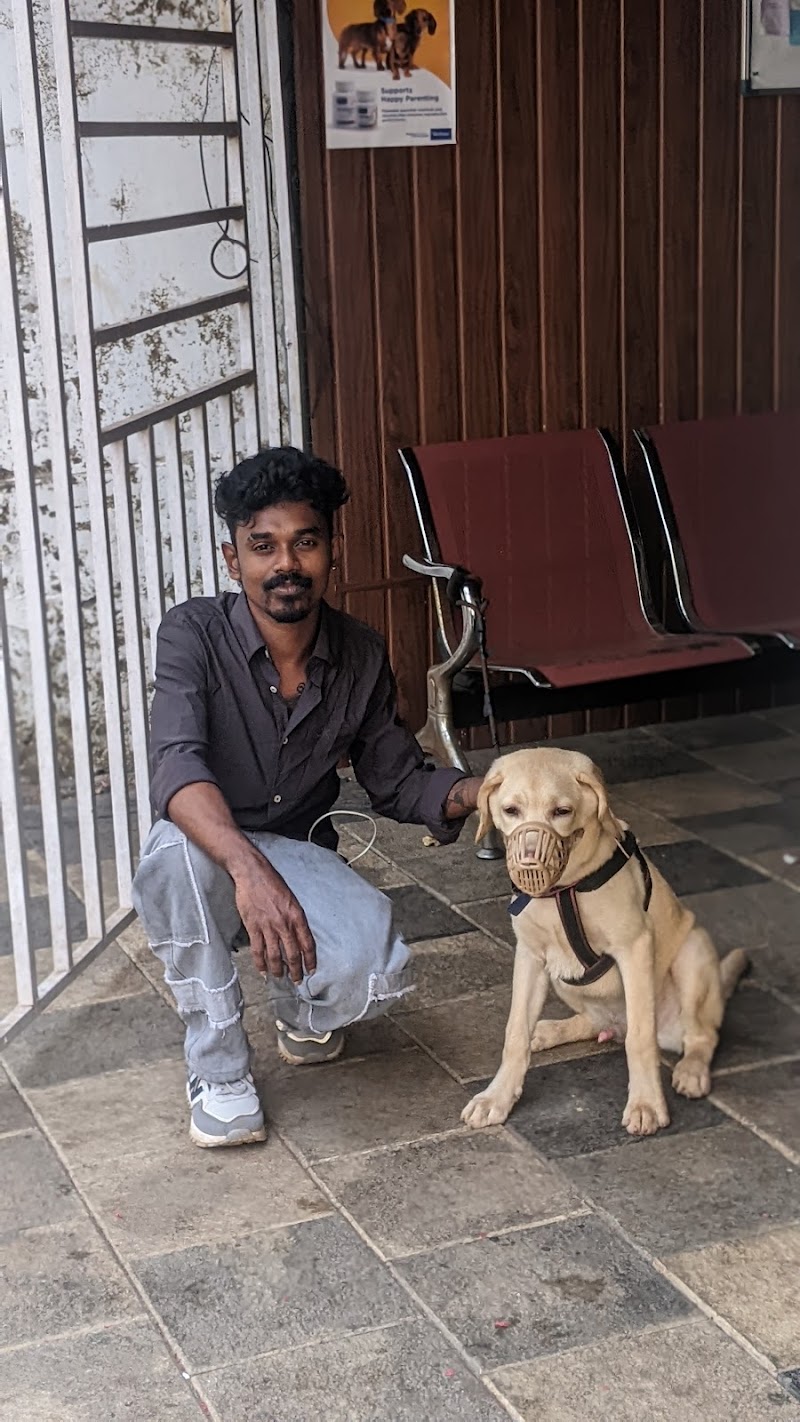 my pet clinic & spa payyanur — Photo 2