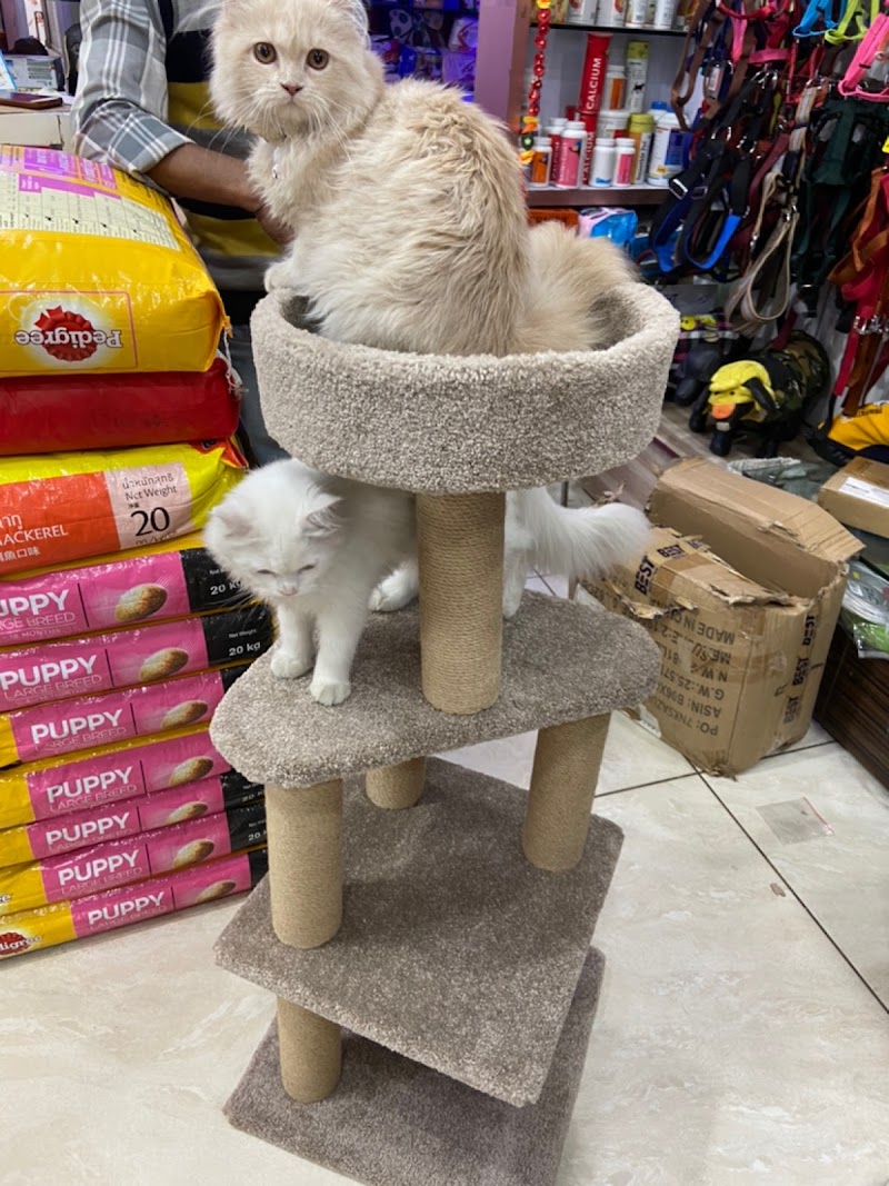 My Pet Mall — Photo 3