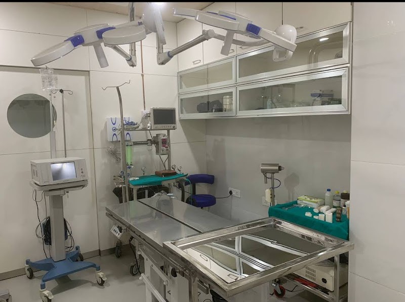 MYRA PET CLINIC & SURGERY CENTRE — Photo 2