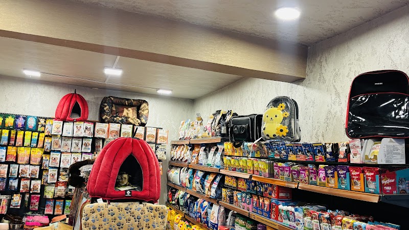 Naughty Dogs — Photo 3