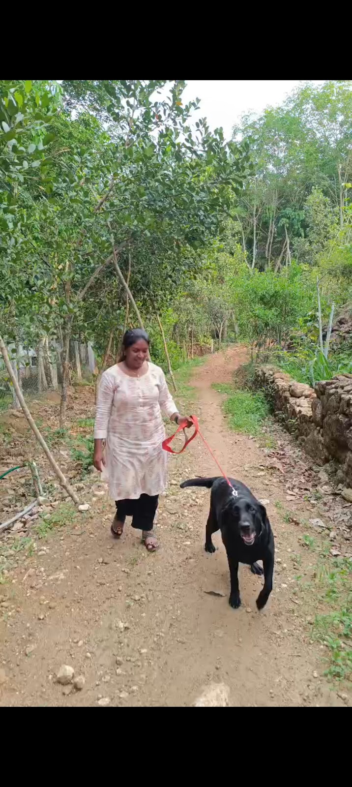 NEO LOKAM ENTERPRISES LLP — Photo 2