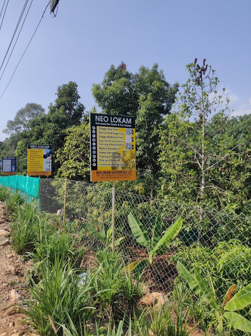 NEO LOKAM ENTERPRISES LLP — Photo 4