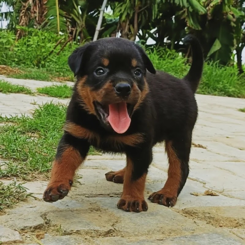 New Deepak Medical Hall — Photo 2