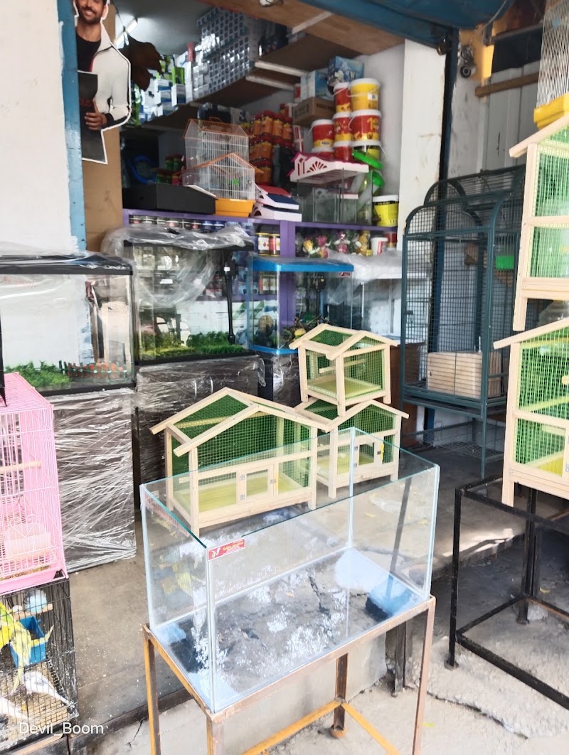 New Golden Aquarium — Photo 4