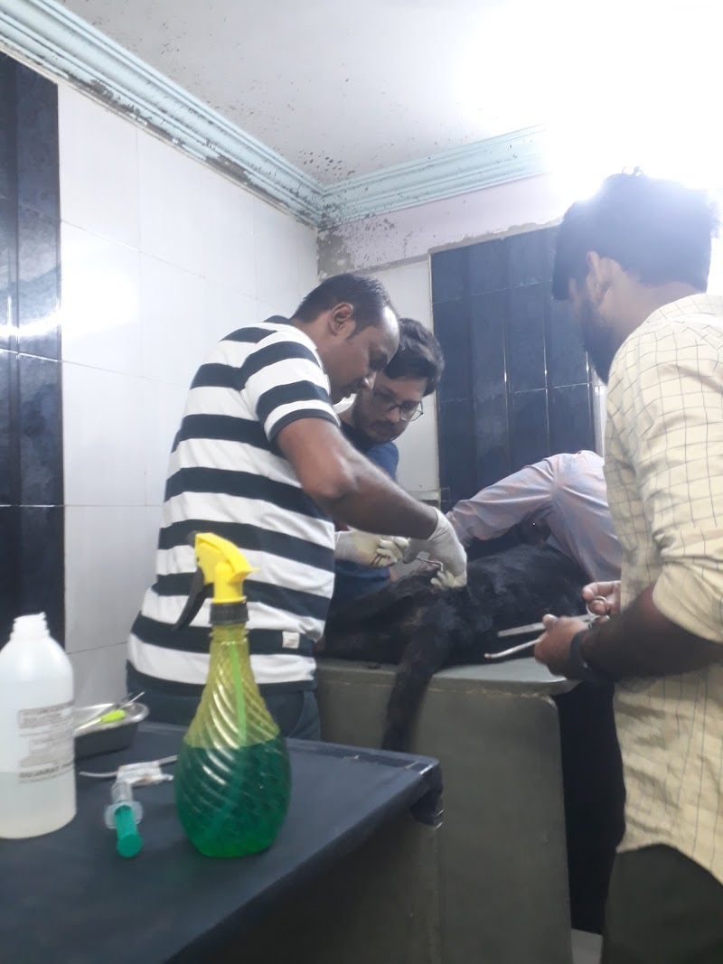 New Hope Animal Hospital