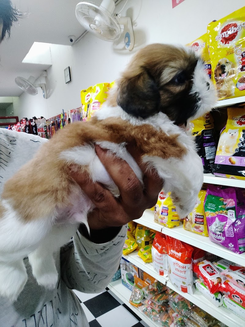 No.1 Pet Shop — Photo 2