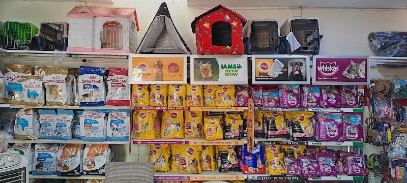 No.1 Pet Shop — Photo 3