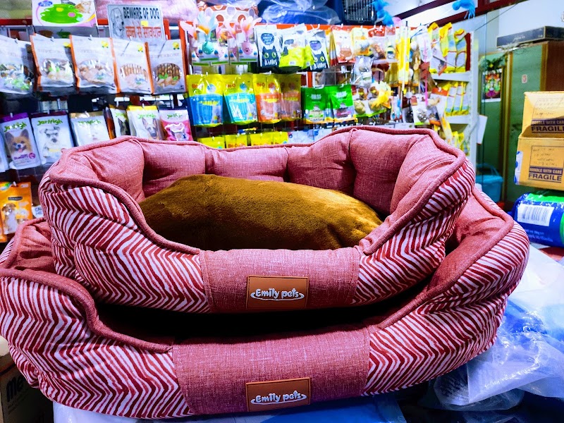 No.1 Pet Shop — Photo 4