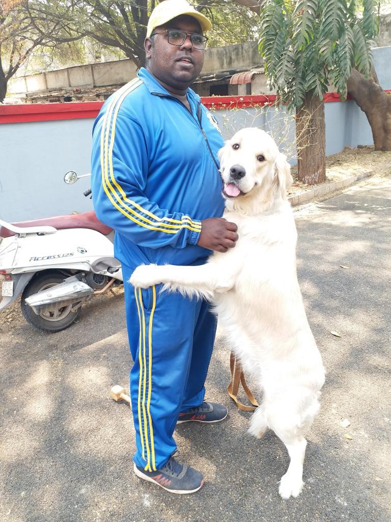 Obedience Masters Dog Trainer in Hyderabad