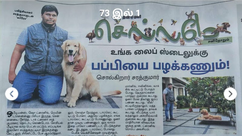 Obey K9 Dog Training