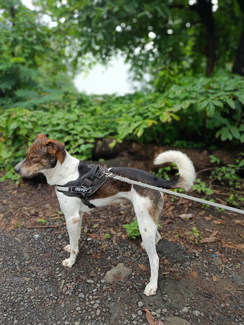 Off the Leash Dog Resort — Photo 4