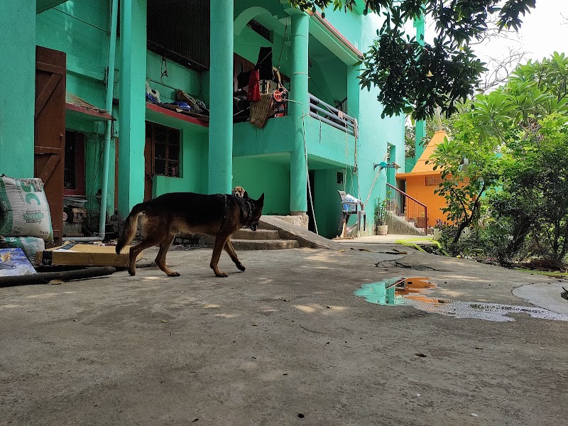 Oh! My Dog — Photo 2