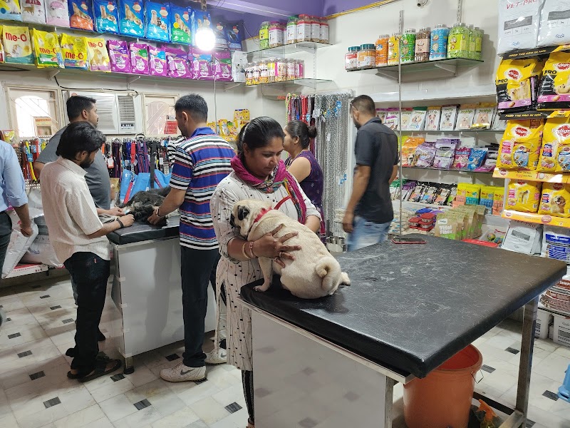 Om Veterinary Hospital — Photo 2