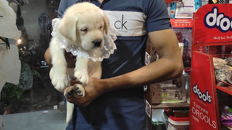 One Stop Pet Shop — Photo 2