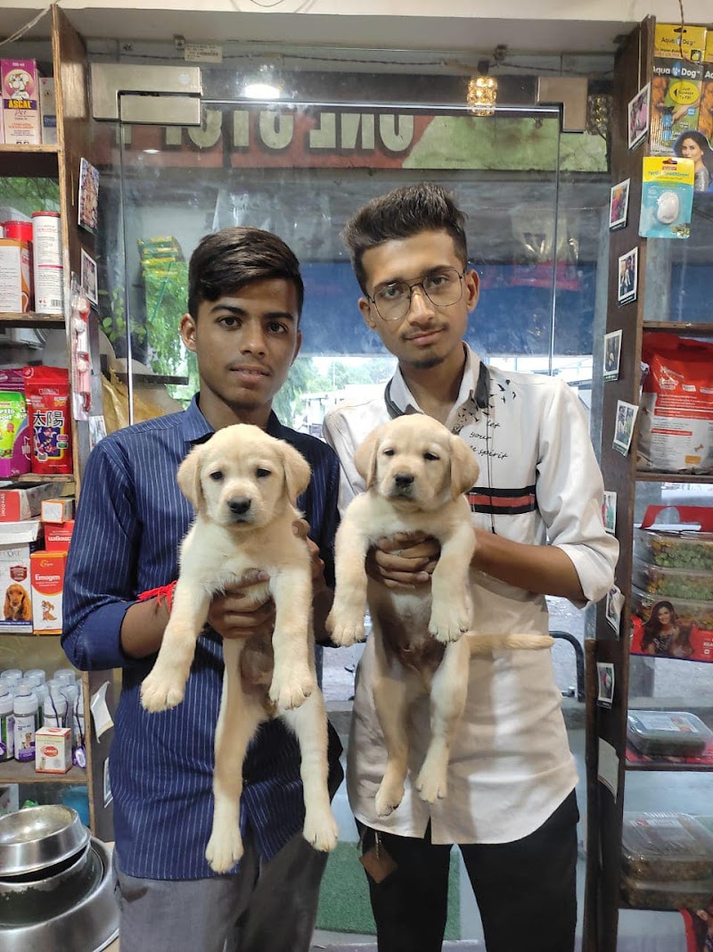 One Stop Pet Shop — Photo 3