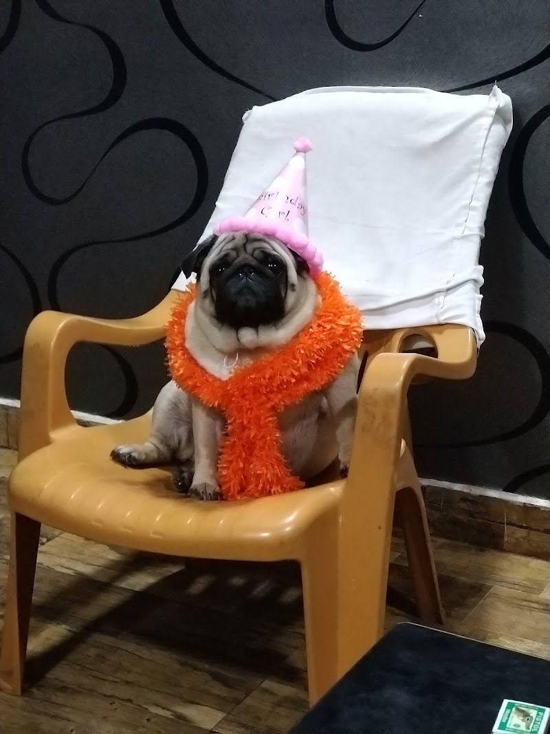 One Stop Pet Shop — Photo 4