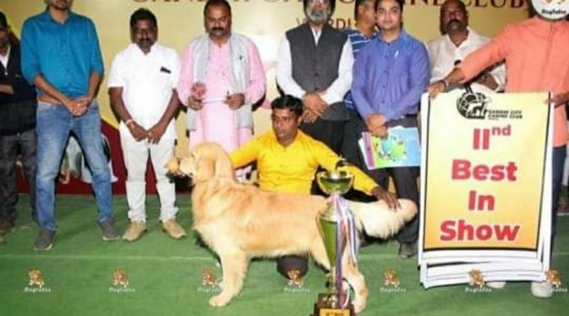 Orange kennel Nagpur — Photo 2