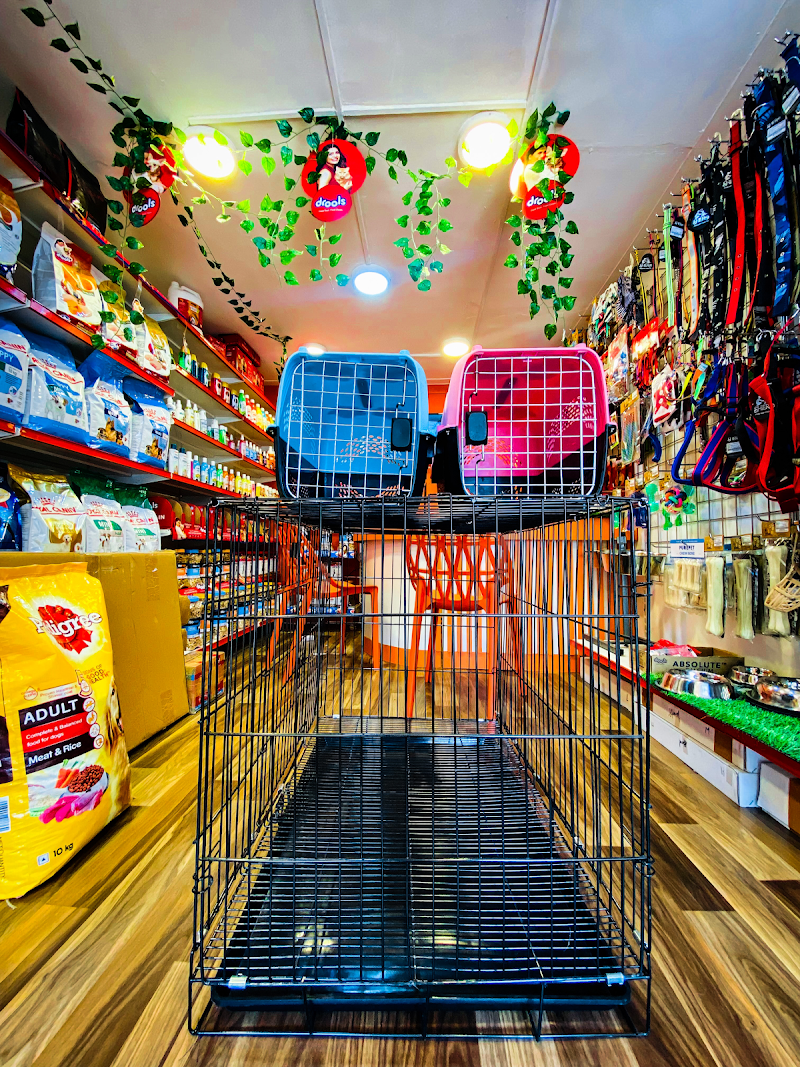 ORANGE PaWsiTive PuPs & KenneL — Photo 2